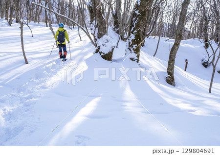 森の新雪をスノーシューで楽しむイメージ　大山木谷沢渓流 129804691