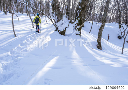 森の新雪をスノーシューで楽しむイメージ　大山木谷沢渓流 129804692