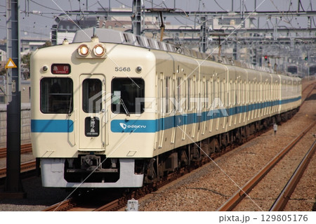 連続高架線を走行する小田急5200形電車_2009/10/19撮影 連続高架線を走行する小田急5200形電車_2009/10/19撮影 129805176
