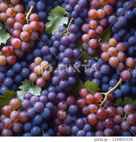 たくさんの葡萄の背景デザイン 129805334