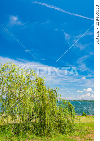 琵琶湖夏景色 滋賀県大津市 琵琶湖夏景色 滋賀県大津市 129805553