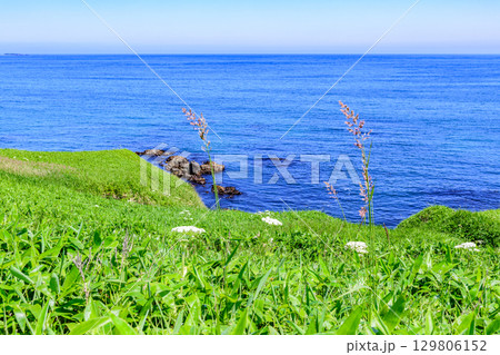 花咲岬から落石へ続く海岸線と町と漁港、夏の青空と海の風景（北海道根室市）  129806152