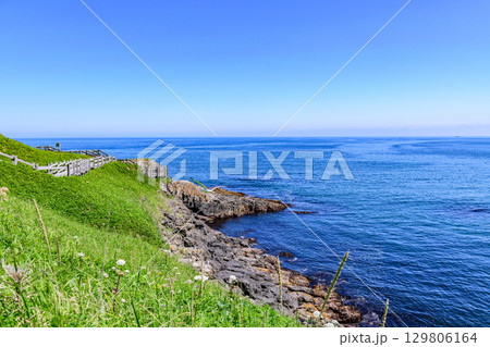 花咲岬から落石へ続く海岸線と町と漁港、夏の青空と海の風景（北海道根室市）  129806164