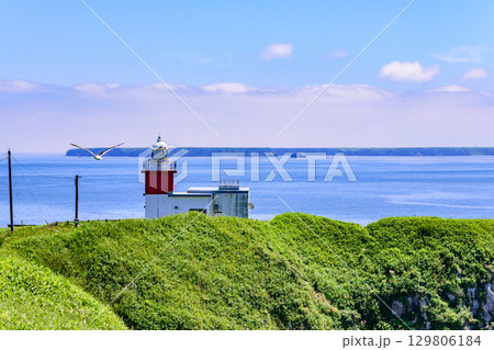 花咲岬から落石へ続く海岸線と町と漁港、夏の青空と海の風景(北海道根室市) 花咲岬から落石へ続く海岸線と町と漁港、夏の青空と海の風景(北海道根室市) 129806184