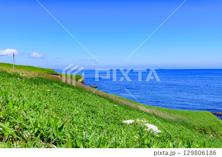 花咲岬から落石へ続く海岸線と町と漁港、夏の青空と海の風景(北海道根室市) 花咲岬から落石へ続く海岸線と町と漁港、夏の青空と海の風景(北海道根室市) 129806186