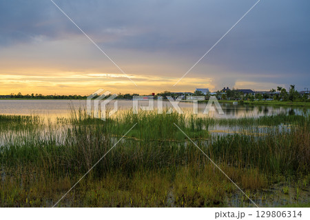 Florida lake nature at sunset. Recreational wildlife area in Wellen park in Venice 129806314