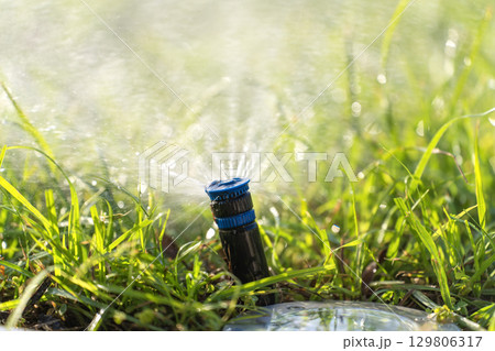 Irrigation lawn sprinkler spreading water over backyard grass in dry season to keep it green and fresh 129806317