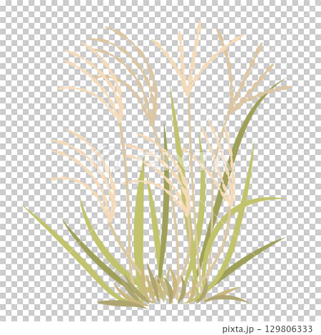 蒲葦插畫素材 蒲葦插畫素材 129806333