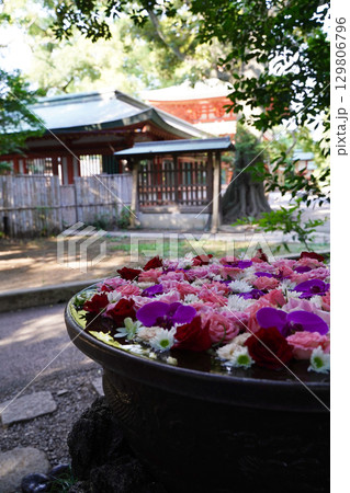 日本の埼玉県にある氷川神社 129806796