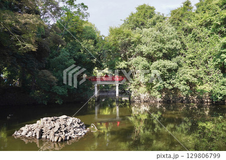 日本の埼玉県にある氷川神社 日本の埼玉県にある氷川神社 129806799