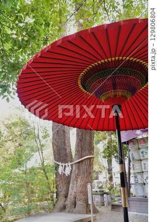 日本の埼玉県にある氷川神社 129806804