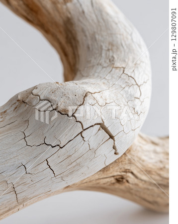 天然流木のクローズアップ 天然流木のクローズアップ 129807091