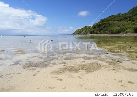 【沖縄県】石垣島の海岸 129807260