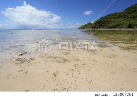 【沖縄県】石垣島の海岸 【沖縄県】石垣島の海岸 129807261