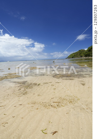 【沖縄県】石垣島の海岸 129807263