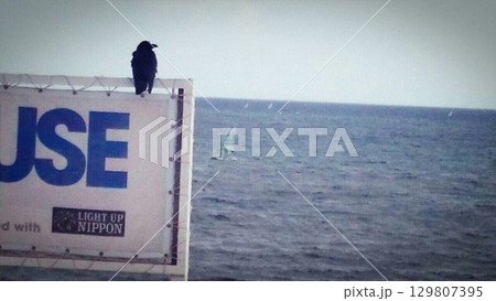 烏と夏の海 烏と夏の海 129807395