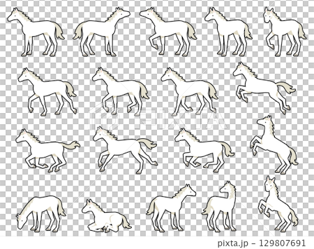 Illustration set of white horses in various poses Illustration set of white horses in various poses 129807691