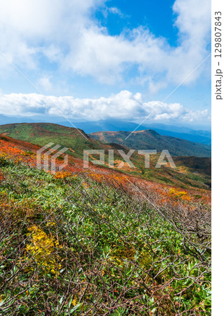 秋の栗駒山登山(栗駒山~秣岳 : 秣岳方面の眺め) 秋の栗駒山登山(栗駒山~秣岳 : 秣岳方面の眺め) 129807843
