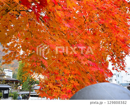 越後湯沢温泉街の紅葉　　　 129808382