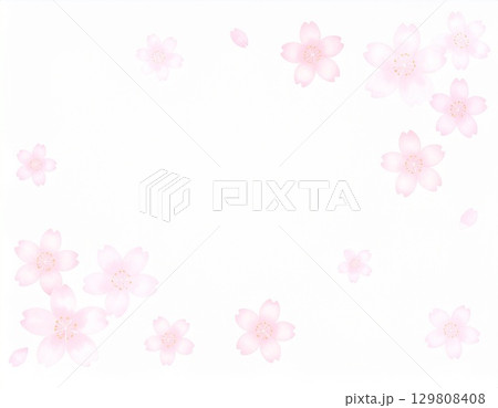 淡いピンクの桜の背景素材 129808408