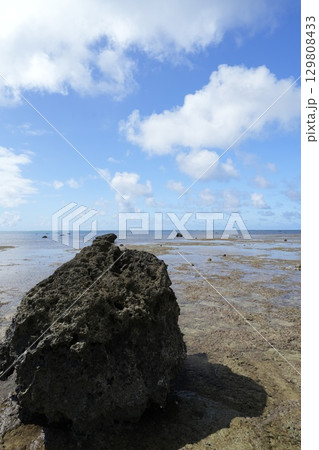 【沖縄県石垣島】白保海岸 129808433