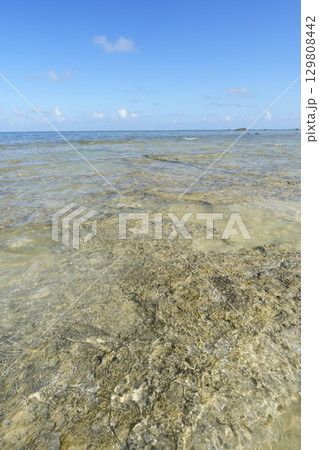【沖縄県石垣島】白保海岸 【沖縄県石垣島】白保海岸 129808442
