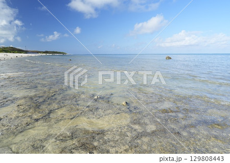【沖縄県石垣島】白保海岸 129808443