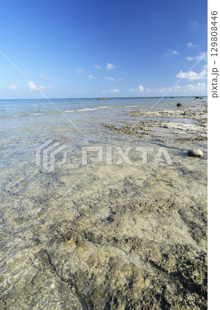 【沖縄県石垣島】白保海岸 【沖縄県石垣島】白保海岸 129808446