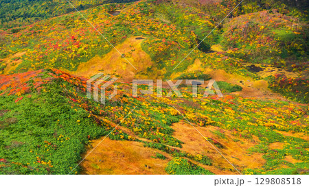 栗駒山の紅葉（龍泉ヶ原） 129808518