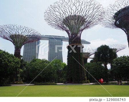 シンガポールの有名な植物園「ガーデンバイザベイ」 129808743