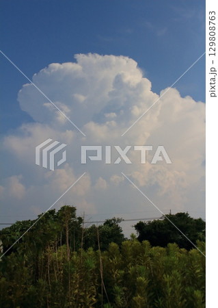 発達した積乱雲が対流圏界面に近づき、かなとこ雲になろうとしている様子 129808763