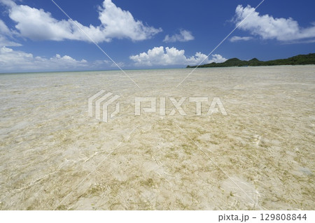 【沖縄県石垣島】底地ビーチ 【沖縄県石垣島】底地ビーチ 129808844