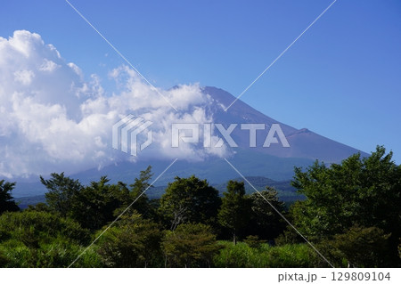 静岡県裾野市から望む夏の富士山 129809104