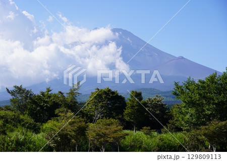 静岡県裾野市から望む夏の富士山 静岡県裾野市から望む夏の富士山 129809113