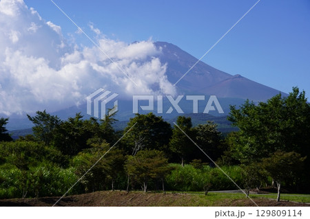 静岡県裾野市から望む夏の富士山 静岡県裾野市から望む夏の富士山 129809114