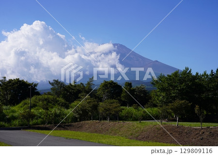 静岡県裾野市から望む夏の富士山 静岡県裾野市から望む夏の富士山 129809116