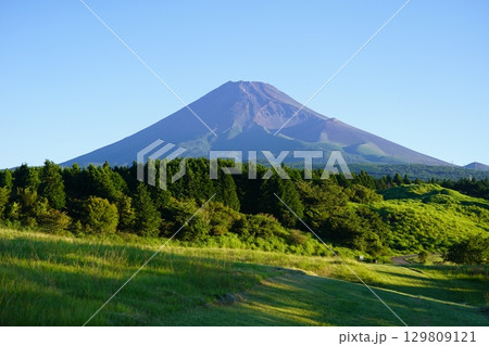静岡県裾野市から望む夏の富士山 静岡県裾野市から望む夏の富士山 129809121