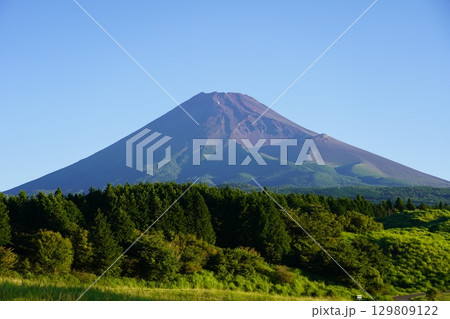 静岡県裾野市から望む夏の富士山 静岡県裾野市から望む夏の富士山 129809122
