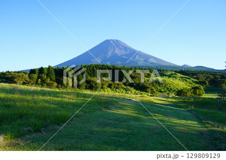 静岡県裾野市から望む夏の富士山 129809129