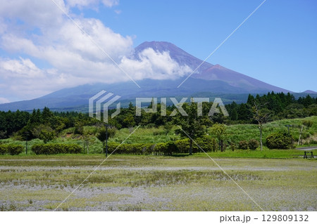 静岡県裾野市から望む夏の富士山 129809132