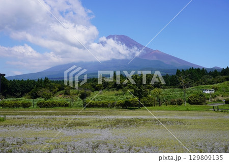 静岡県裾野市から望む夏の富士山 129809135