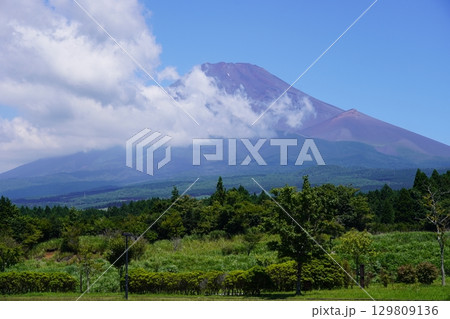静岡県裾野市から望む夏の富士山 129809136