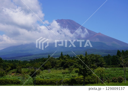 静岡県裾野市から望む夏の富士山 静岡県裾野市から望む夏の富士山 129809137