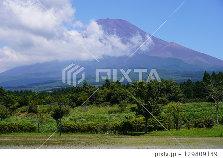 静岡県裾野市から望む夏の富士山 129809139