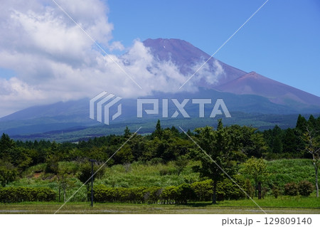 静岡県裾野市から望む夏の富士山 静岡県裾野市から望む夏の富士山 129809140