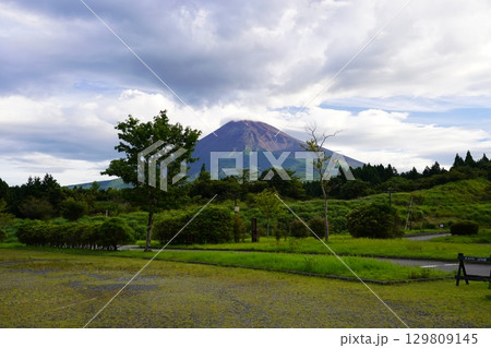 静岡県裾野市から望む夏の富士山 静岡県裾野市から望む夏の富士山 129809145