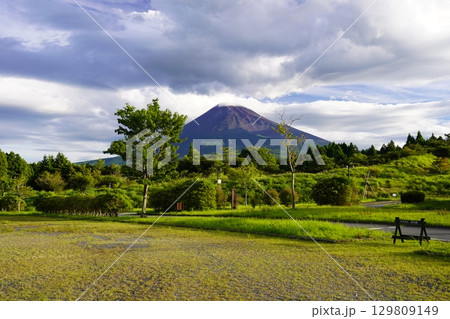 静岡県裾野市から望む夏の富士山 129809149