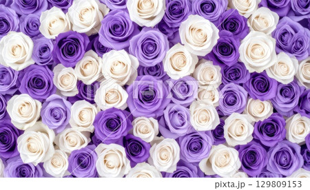 《AI画像》埋め尽くされた白と紫の薔薇 《AI画像》埋め尽くされた白と紫の薔薇 129809153