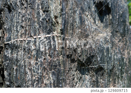 千枚岩、イメージ 129809715