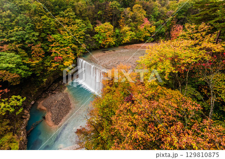 紅葉に彩られた松川渓谷 129810875